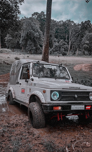 世界杯欧洲区附加赛抽签：乌克兰抽到的第四档对手是瑞典