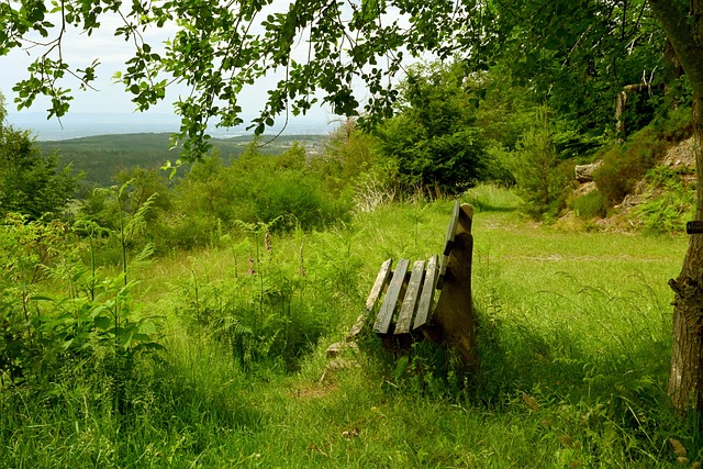 黄蜂主帅：我们没一个人能单防哈登，他真的是用各种方式得分